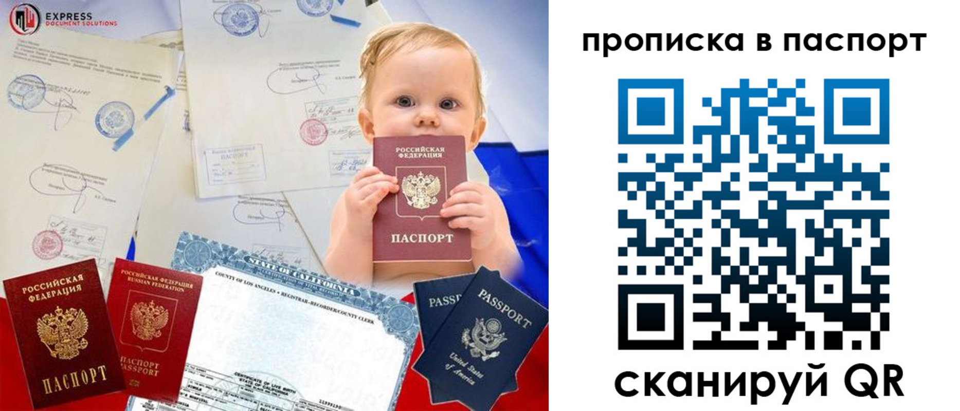 прописка гарантия в Советске